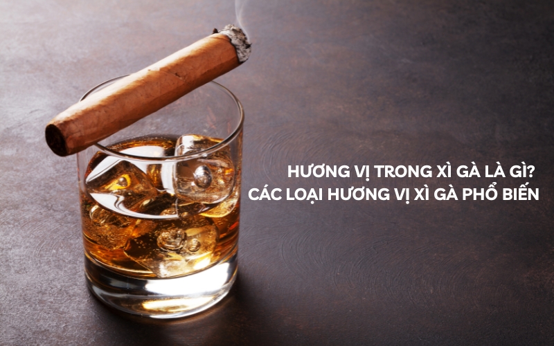hương vị trong xì gà
