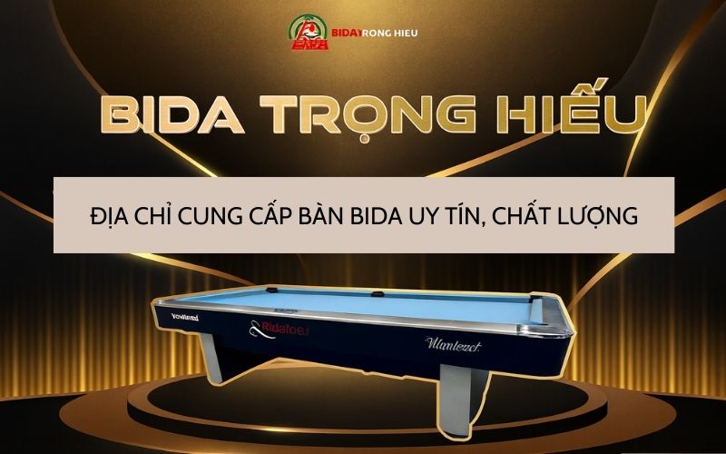 cửa hàng bida trọng hiếu